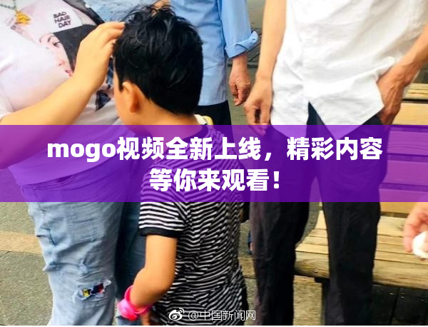 mogo视频全新上线，精彩内容等你来观看！