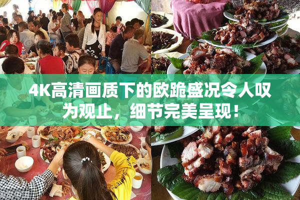 4K高清画质下的欧跪盛况令人叹为观止，细节完美呈现！
