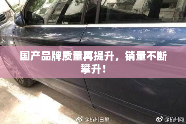 国产品牌质量再提升，销量不断攀升！