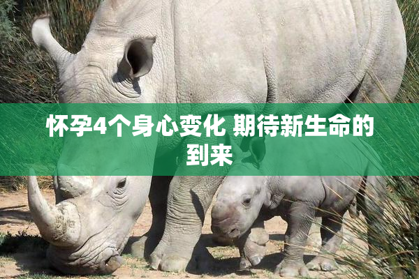 怀孕4个身心变化 期待新生命的到来