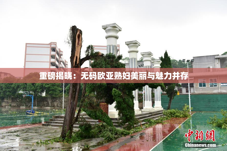 重磅揭晓：无码欧亚熟妇美丽与魅力并存