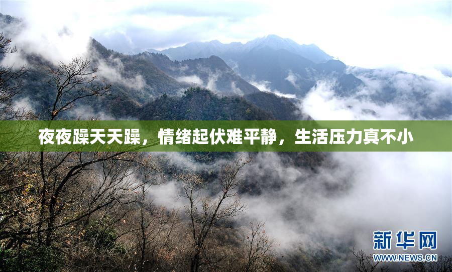 夜夜躁天天躁，情绪起伏难平静，生活压力真不小