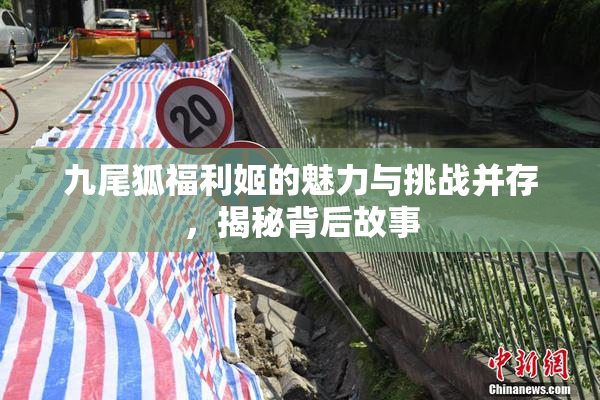 九尾狐福利姬的魅力与挑战并存，揭秘背后故事
