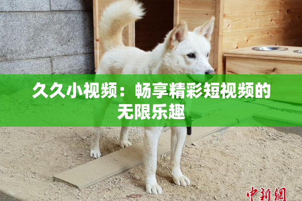 久久小视频：畅享精彩短视频的无限乐趣