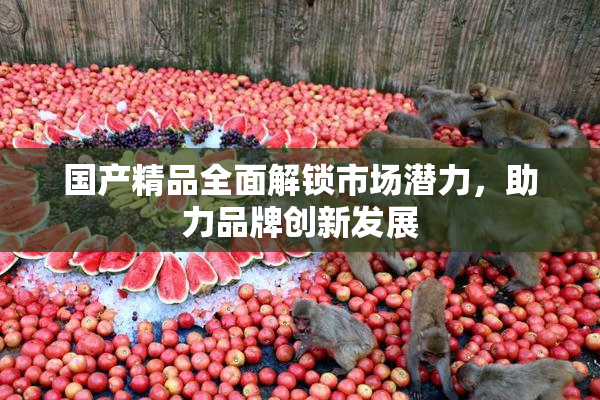 国产精品全面解锁市场潜力，助力品牌创新发展
