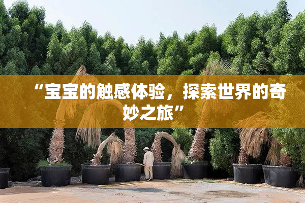 “宝宝的触感体验，探索世界的奇妙之旅”