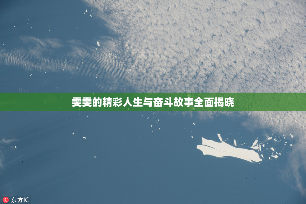 雯雯的精彩人生与奋斗故事全面揭晓