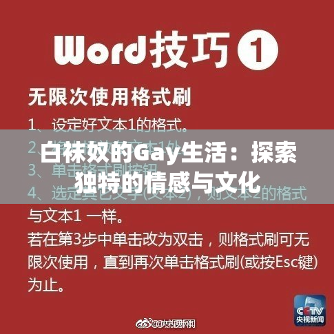 白袜奴的Gay生活：探索独特的情感与文化