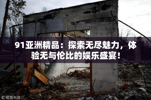 91亚洲精品：探索无尽魅力，体验无与伦比的娱乐盛宴！