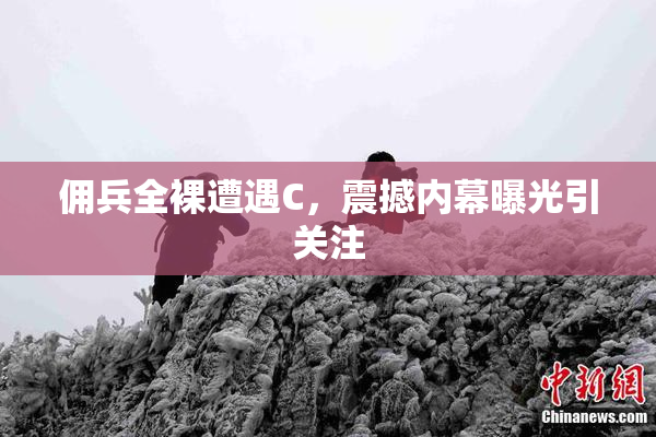 佣兵全裸遭遇C，震撼内幕曝光引关注