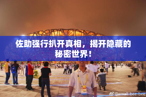 佐助强行扒开真相，揭开隐藏的秘密世界！