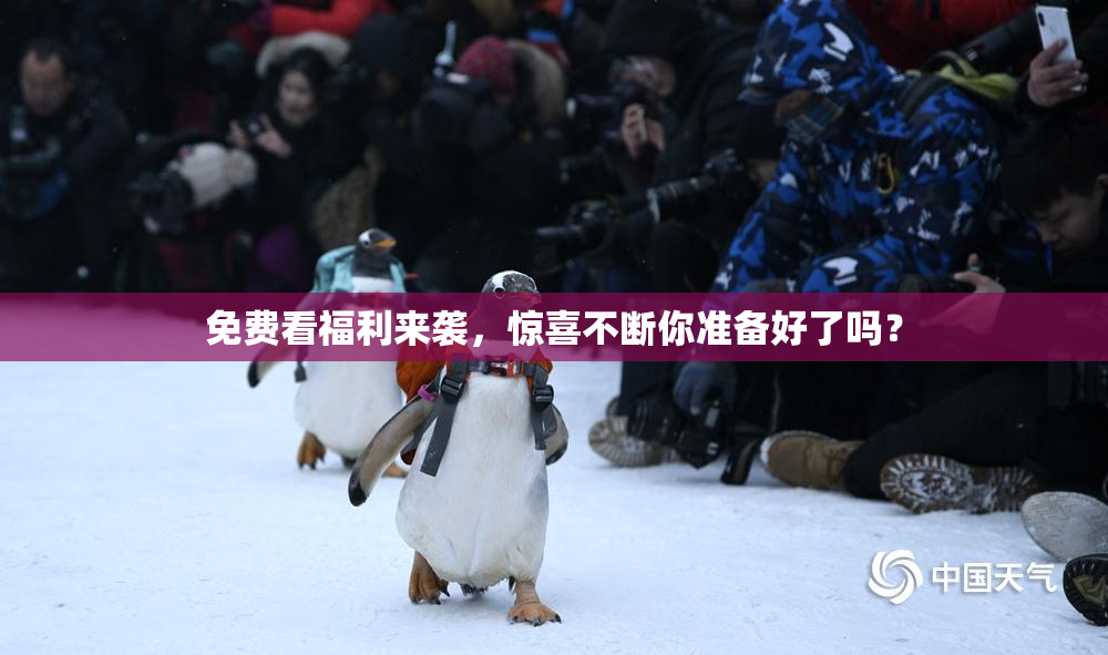 免费看福利来袭，惊喜不断你准备好了吗？