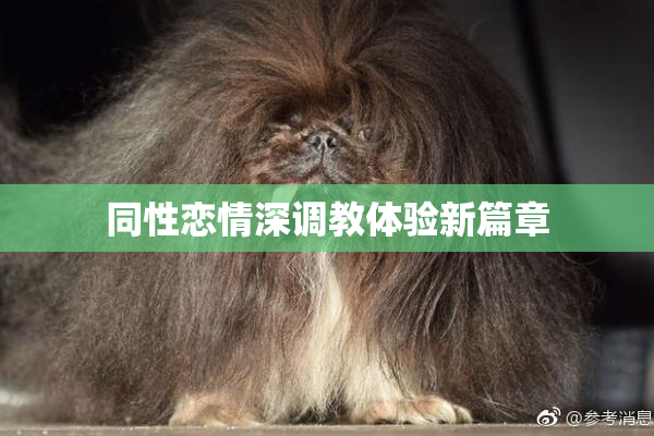 同性恋情深调教体验新篇章