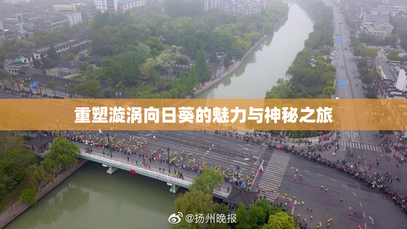 重塑漩涡向日葵的魅力与神秘之旅