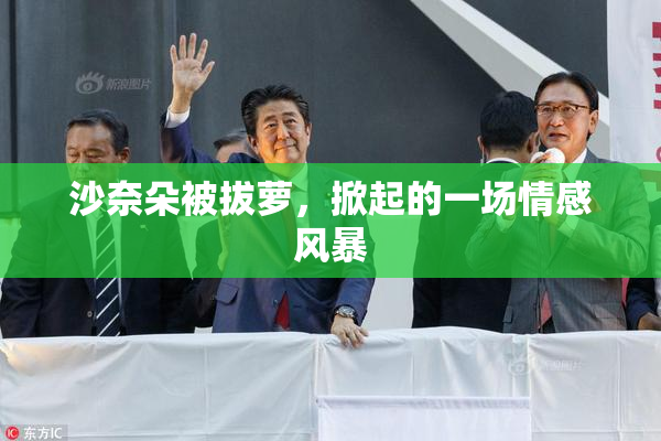 沙奈朵被拔萝，掀起的一场情感风暴