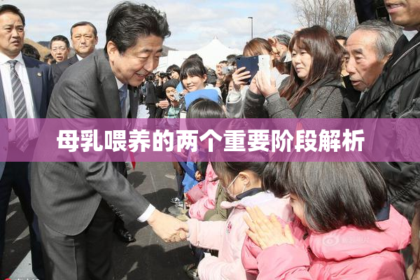 母乳喂养的两个重要阶段解析