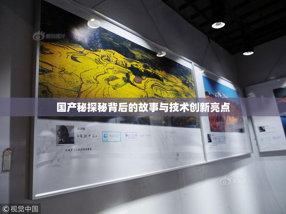 国产秘探秘背后的故事与技术创新亮点