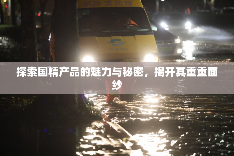 探索国精产品的魅力与秘密，揭开其重重面纱