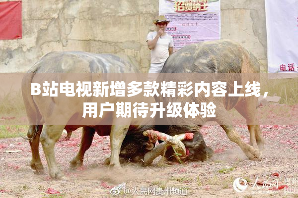 B站电视新增多款精彩内容上线，用户期待升级体验