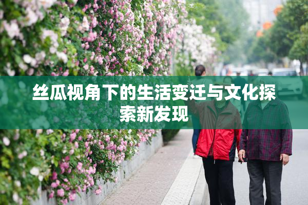 丝瓜视角下的生活变迁与文化探索新发现