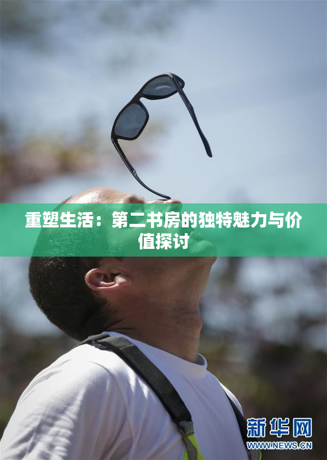重塑生活：第二书房的独特魅力与价值探讨