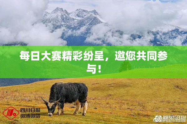 每日大赛精彩纷呈，邀您共同参与！