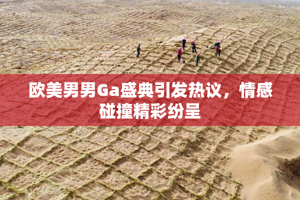 欧美男男Ga盛典引发热议，情感碰撞精彩纷呈