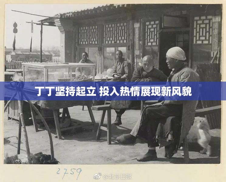 丁丁坚持起立 投入热情展现新风貌