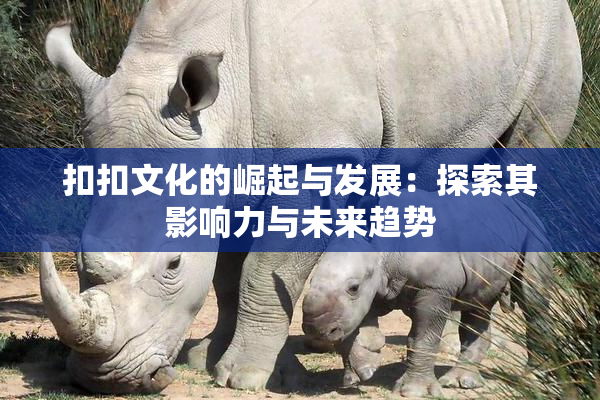 扣扣文化的崛起与发展：探索其影响力与未来趋势