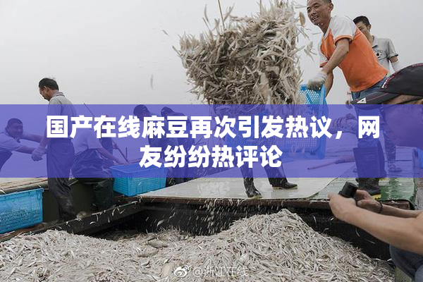 国产在线麻豆再次引发热议，网友纷纷热评论
