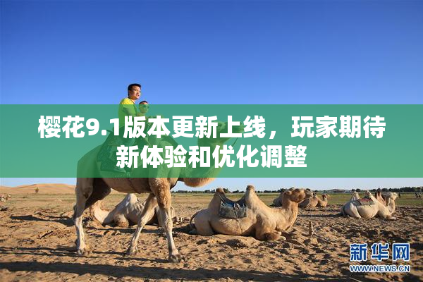樱花9.1版本更新上线，玩家期待新体验和优化调整