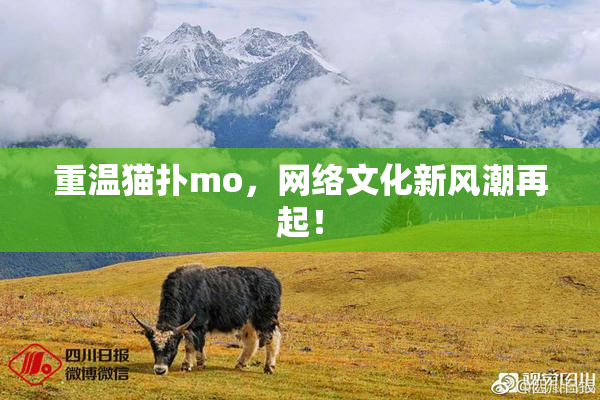 重温猫扑mo，网络文化新风潮再起！