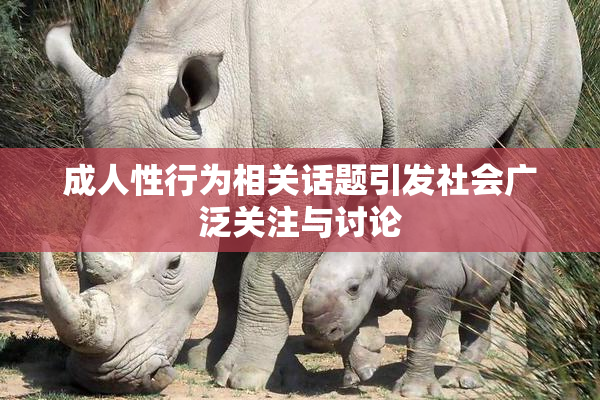 成人性行为相关话题引发社会广泛关注与讨论
