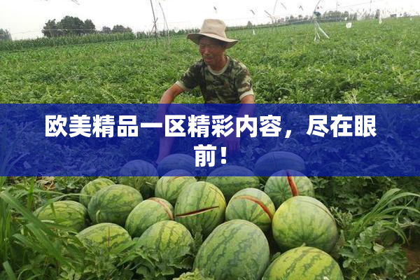 欧美精品一区精彩内容，尽在眼前！