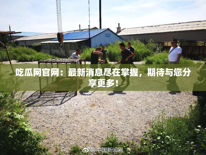 吃瓜网官网：最新消息尽在掌握，期待与您分享更多！