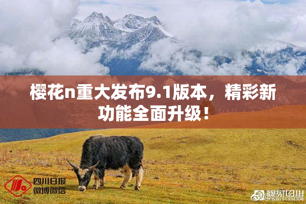 樱花n重大发布9.1版本，精彩新功能全面升级！