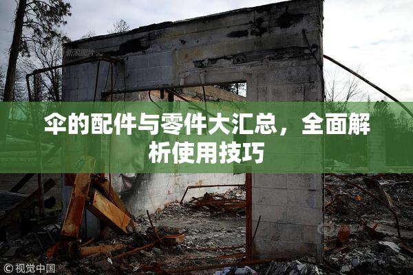 伞的配件与零件大汇总，全面解析使用技巧