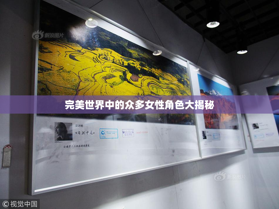 完美世界中的众多女性角色大揭秘