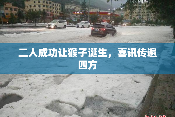 二人成功让猴子诞生，喜讯传遍四方