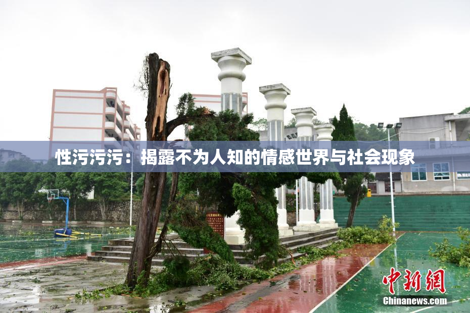 性污污污：揭露不为人知的情感世界与社会现象