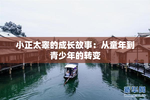 小正太睾的成长故事：从童年到青少年的转变