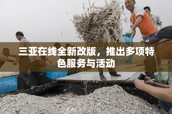 三亚在线全新改版，推出多项特色服务与活动