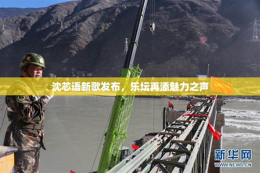 沈芯语新歌发布，乐坛再添魅力之声