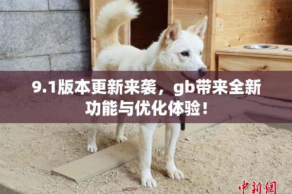 9.1版本更新来袭，gb带来全新功能与优化体验！