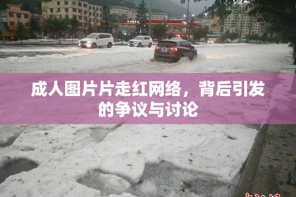 成人图片片走红网络，背后引发的争议与讨论