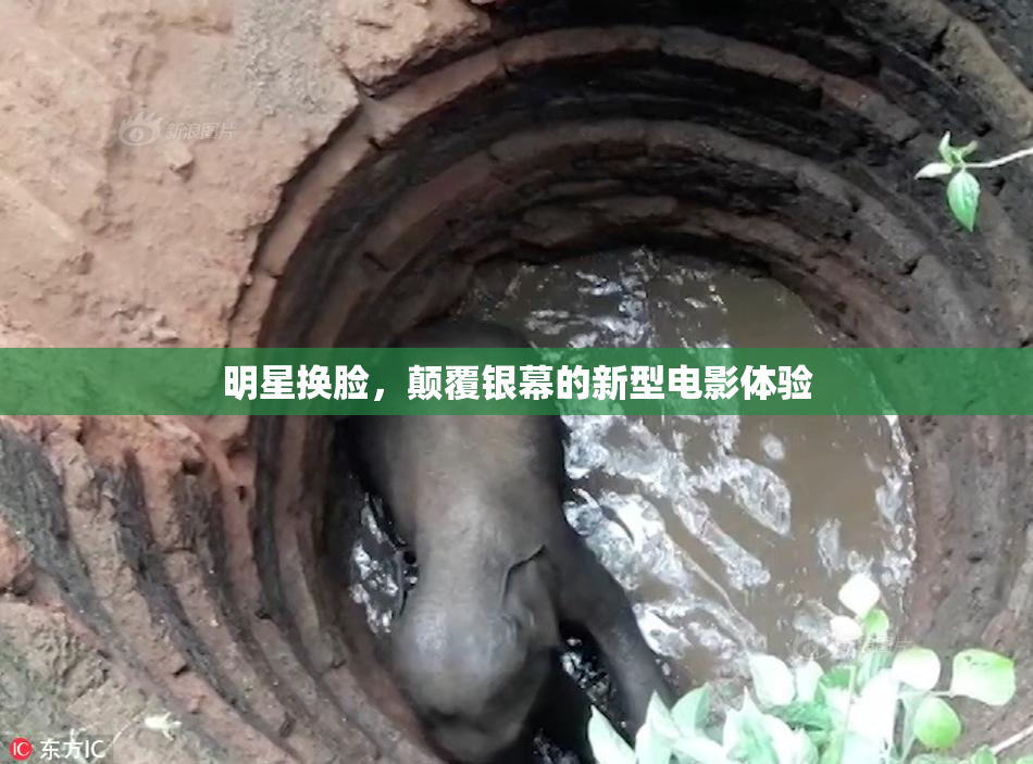 明星换脸，颠覆银幕的新型电影体验