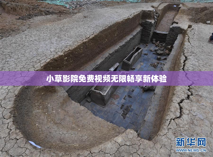 小草影院免费视频无限畅享新体验