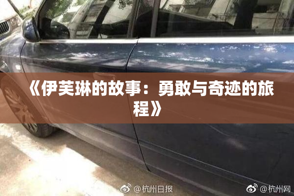 《伊芙琳的故事：勇敢与奇迹的旅程》