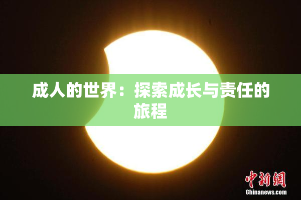 成人的世界：探索成长与责任的旅程