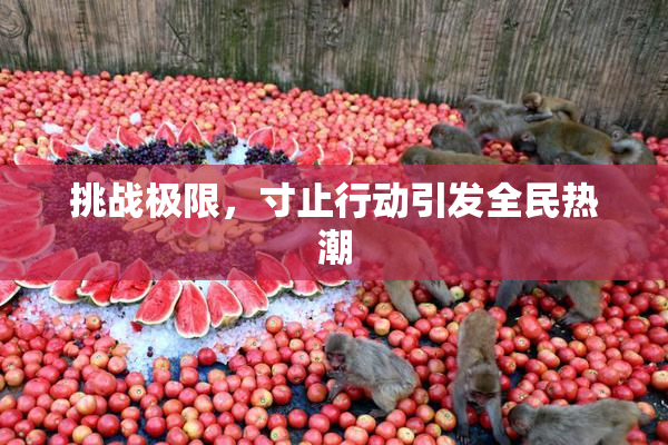 挑战极限，寸止行动引发全民热潮